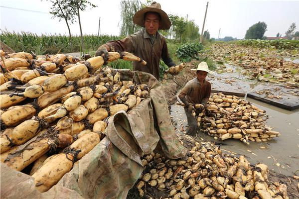 开云app苹果下载相关推荐3