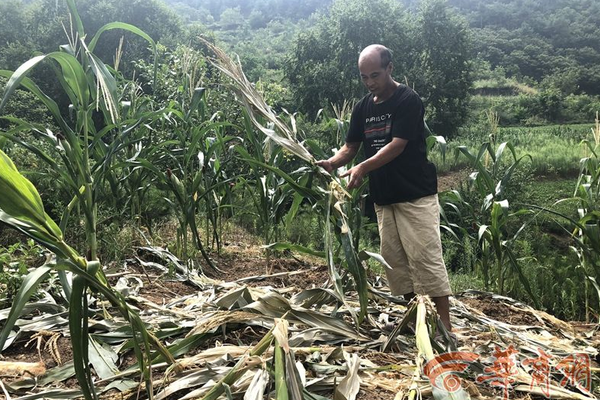 百老汇电子游戏平台相关推荐2”