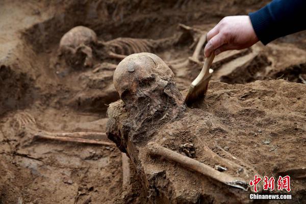 星空体育在线登陆-江西师大男学生虐猫