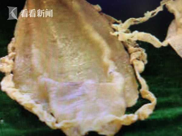 乐鱼官方在线登录