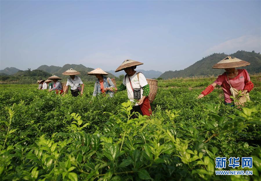 华体网页版登录