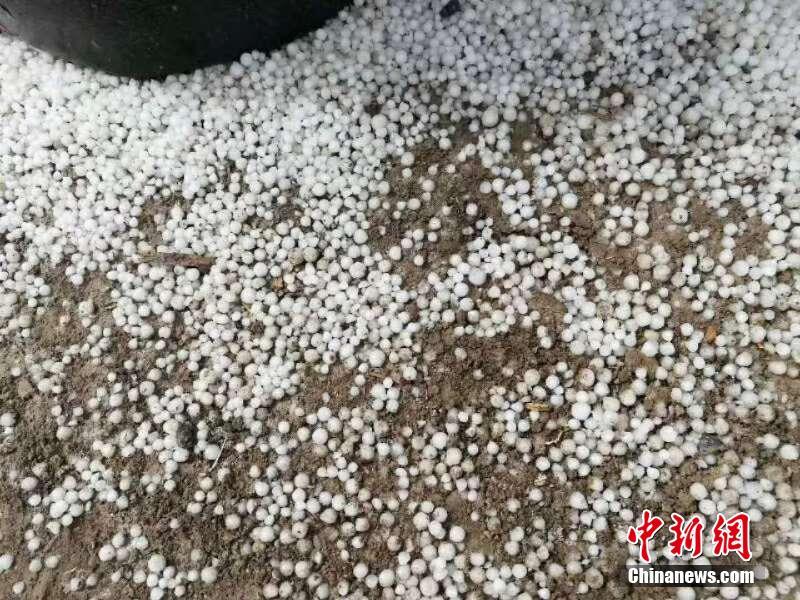 天博综合app克罗地亚