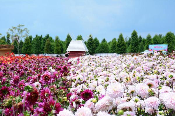 环亚体育官网平台入口