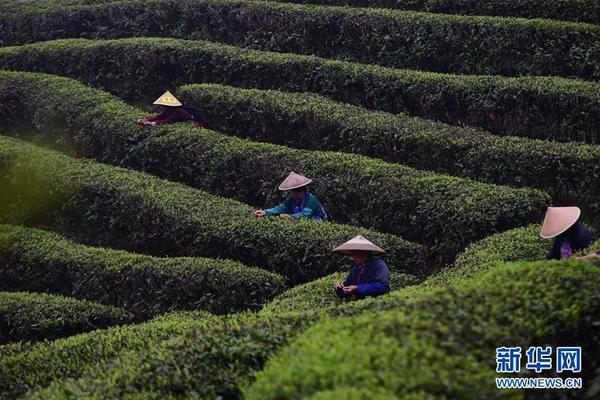 米乐下载平台官网-极氪高管直播续航实测