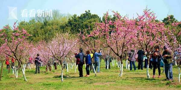 半岛网页版登录入口相关推荐4