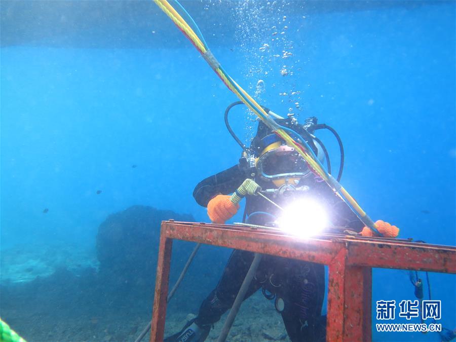 银河游戏娱乐登录-意外吃到了去世10年爷爷种的韭菜