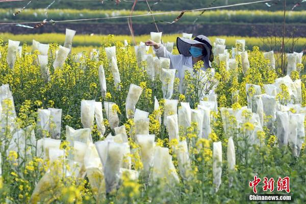 bob游戏综合官网相关推荐10