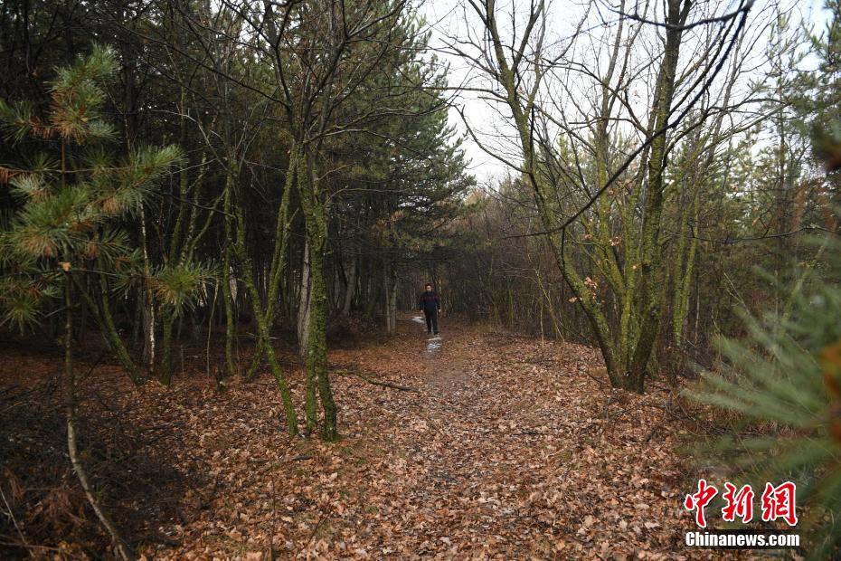 半岛在线登录官网-你知道哪些有趣的山东方言