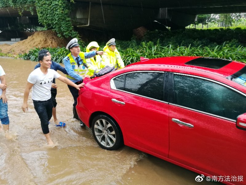 乐鱼在线登录入口-女子因蒜苗被轧怒砸奔驰车，河南警方	：双方就财产损失达成谅解