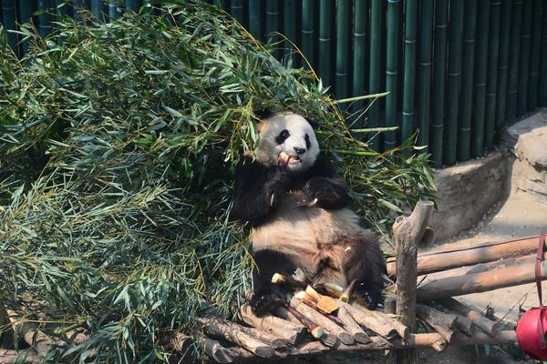 火博登陆平台相关推荐1