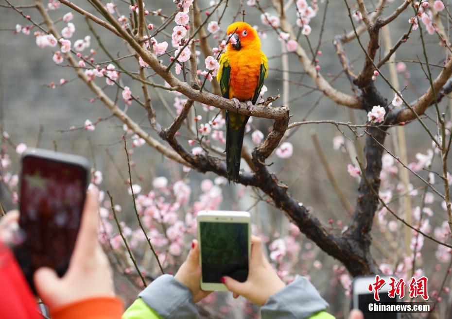 华体育app下载方式相关推荐3