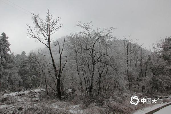 半岛手机版登录入口-半岛手机版登录入口