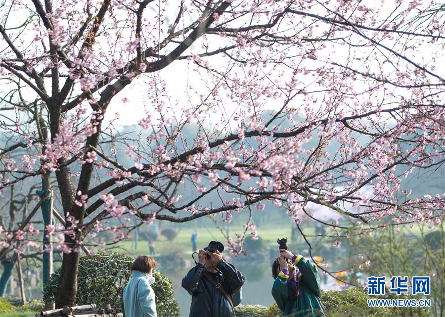 买球的足彩ap推荐-这是我没结婚前最无聊的一天