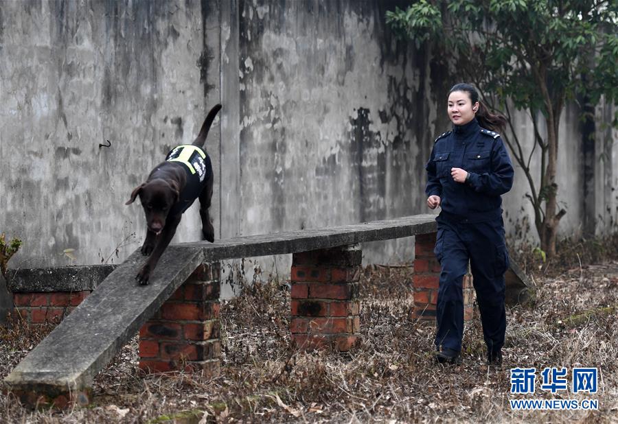 十大正规网投平台相关推荐4