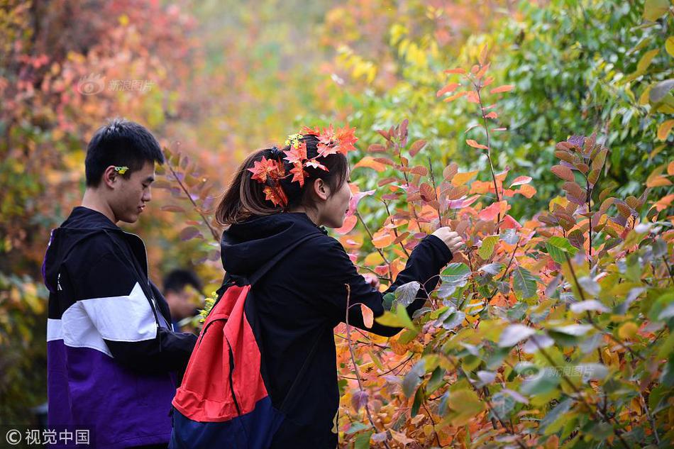 开云app苹果下载相关推荐7