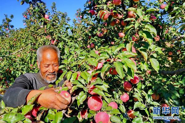 盈盈彩app下载相关推荐5”