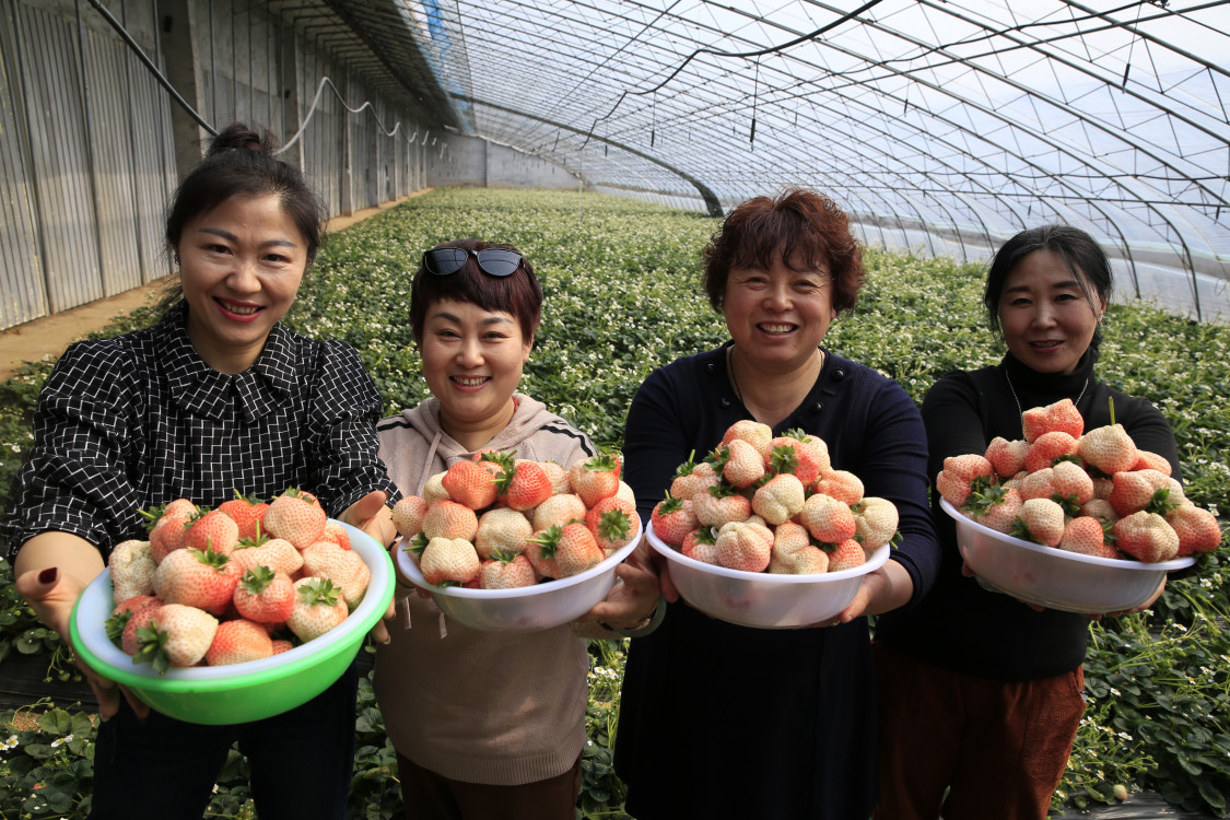 赌钱游戏相关推荐6