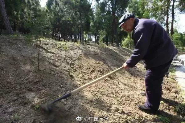 亚搏手机app登录入口-周雨彤 一次醉酒换来一生内向