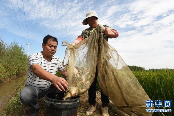 米乐网页版登录入口相关推荐10