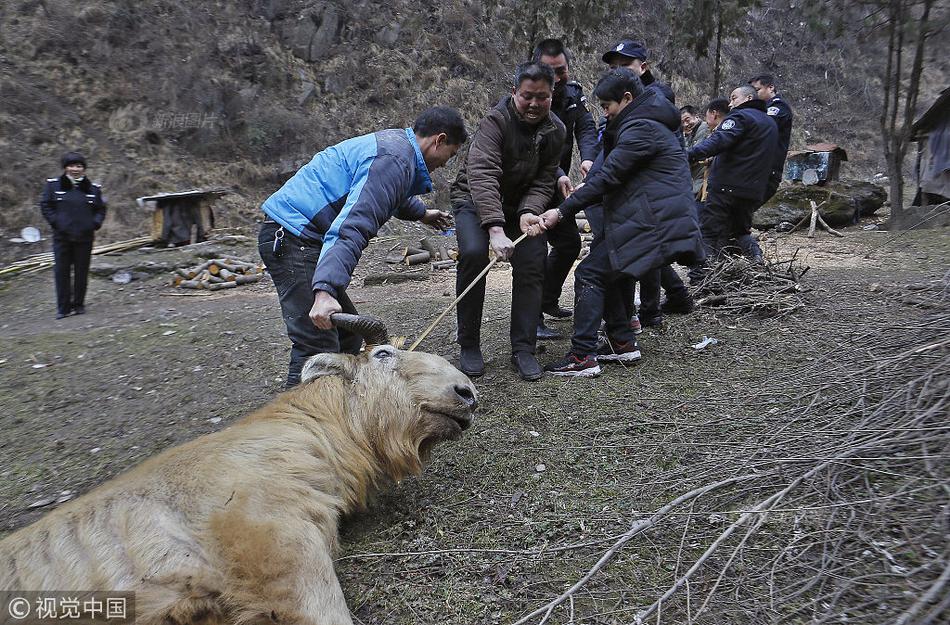 开云官方在线入口相关推荐1