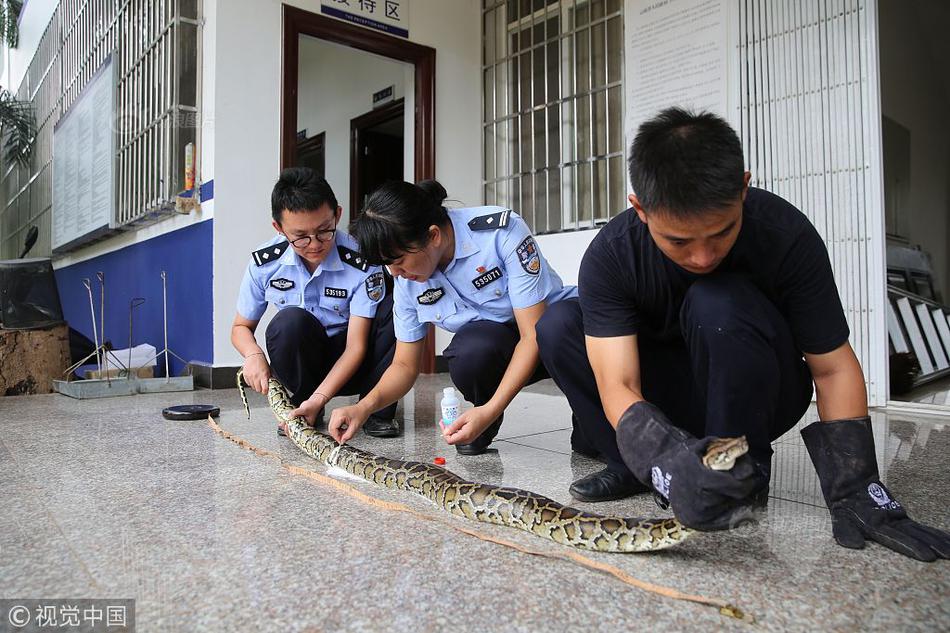 lm体育平台官网入口相关推荐7