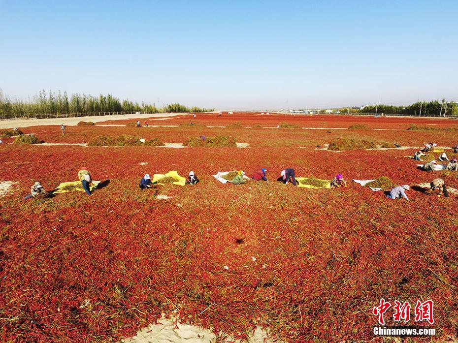 pg电子娱乐十大平台-新闻调查｜美炮制“中国起重机威胁论”完全站不住脚