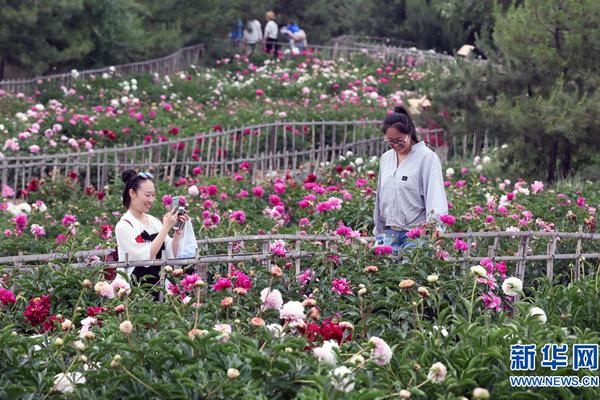 九洲娱乐登录入口-九洲娱乐登录入口