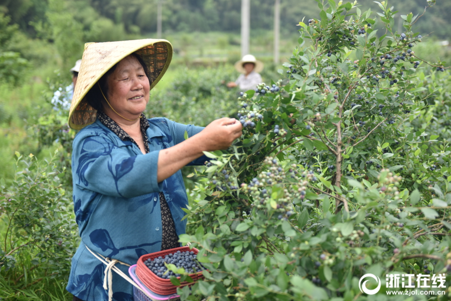 半岛电竞官网-浙大女生23年前写的励志标语火了