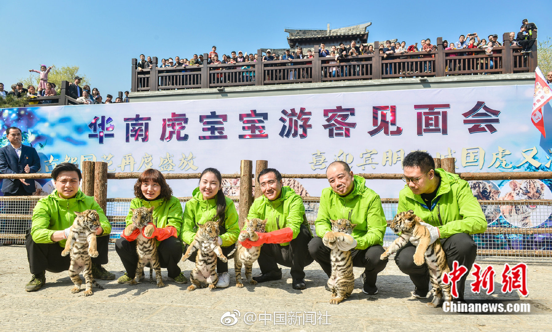 银河游戏娱乐登录-虐猫考生已参加兰大研究生调剂复试�，婉拒采访
，称「现在不太好回应，对于网络舆论不是很懂」	，如何看待？