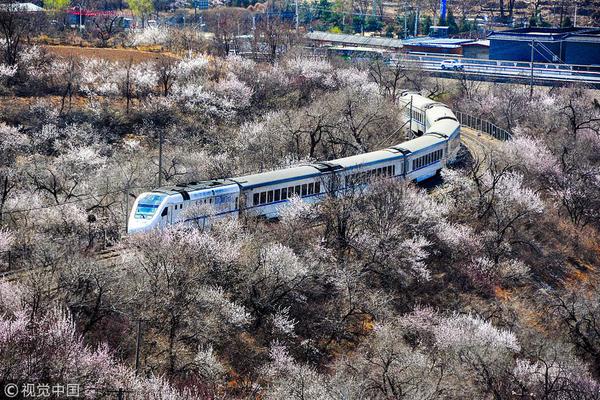 半岛官网5.0在线登陆-中国古代为啥造不出来玻璃，只能烧出琉璃�？