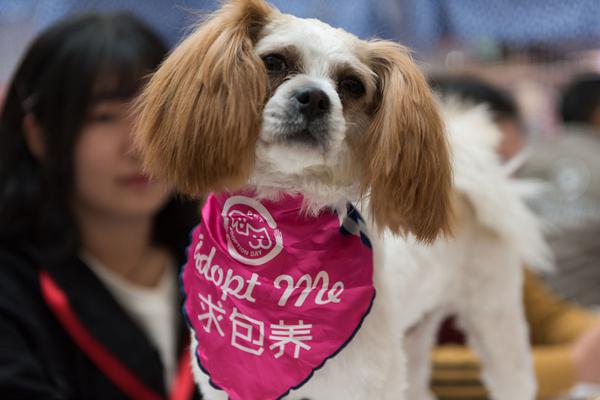 kok电竞首页-退伍军人宿舍考研全上岸