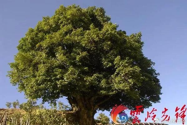 半岛在线登录下载-半岛在线登录下载