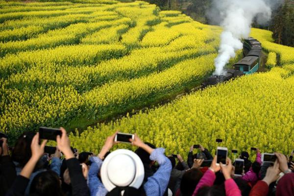 kok最新平台相关推荐8