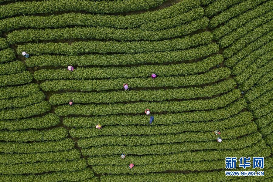 乐鱼登录入口-王一博不用再唱华华的世界了