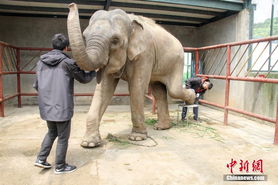 半岛在线登录入口相关推荐3