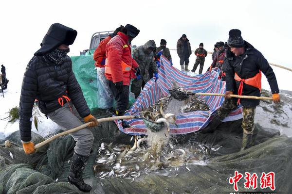 欧巴平台官网-舍友的奇葩行为