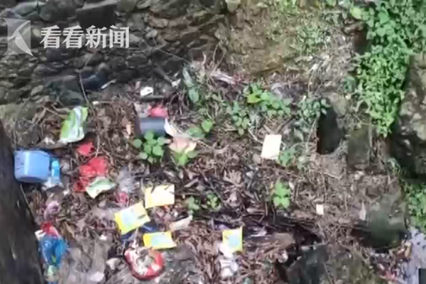 半岛在线体育网相关推荐7