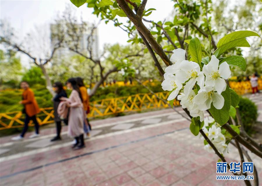 w66娱乐官网-陕西紫阳县13岁女孩失踪多日后遗体被找到，死亡原因正在调查