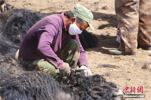 开云app苹果下载-为什么每天出门的时候我家猫都不会送我，但是下班却会积极得迎接我？