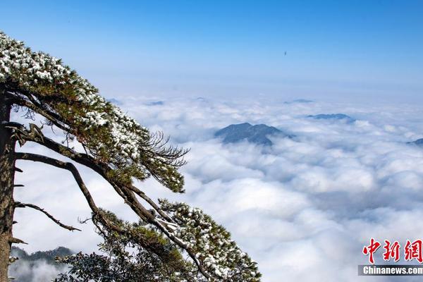 半岛网页版登录入口-不装了！彻底摆烂
�！2024年1月新番完结吐槽！【泛式】