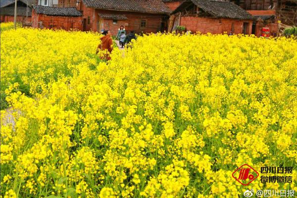 od平台在线登录-有哪些被人类「吃没了」的物种
？