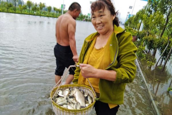 好运彩app官方版下载-特朗普被曝正研究如何施压乌克兰放弃部分领土
，从而结束俄乌冲突，如何评价特朗普这一想法�
？