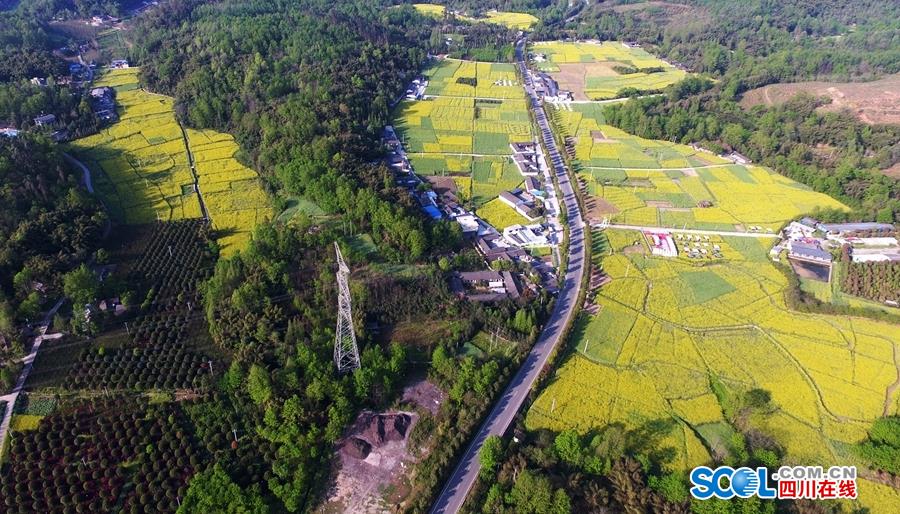 乐鱼官方在线登录-乐鱼官方在线登录