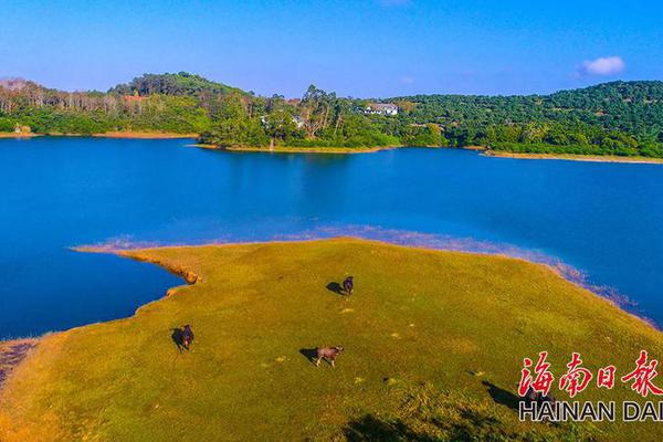 永利官网总站-“节奏大师”