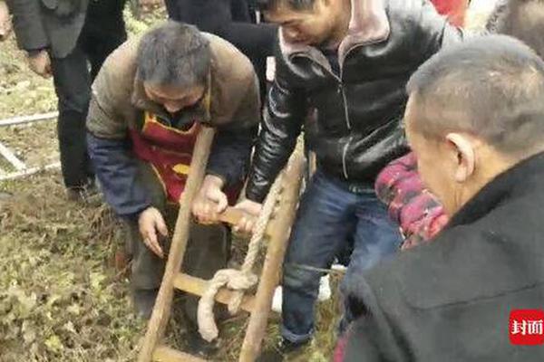 天博tb登录界面相关推荐10