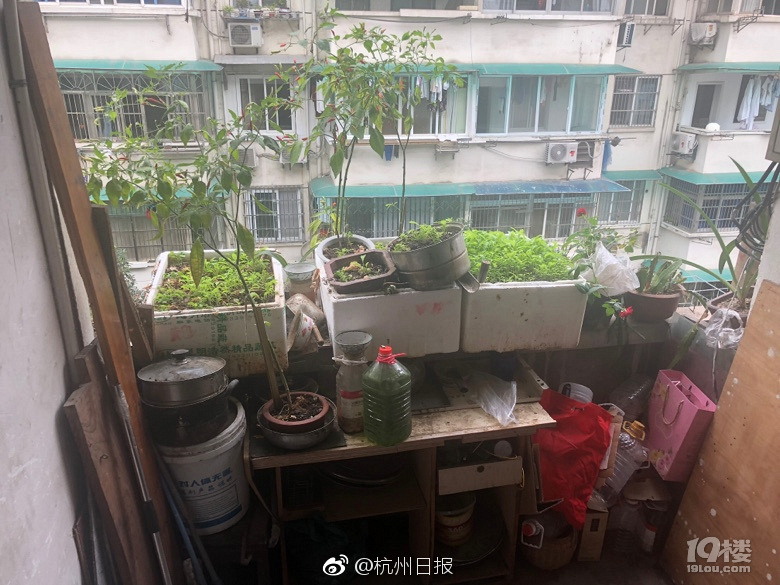 半岛网页版登录入口-天水麻辣烫到底是什么味