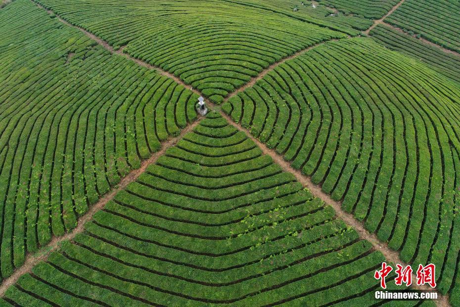 乐鱼在线登录平台-乐鱼在线登录平台