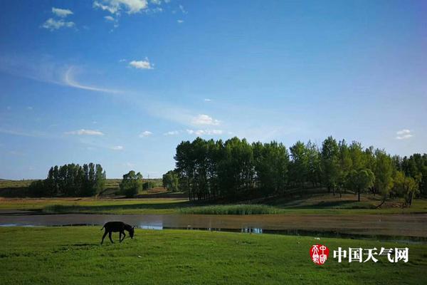 半岛在线登录官网-辞职旅行半年后我的生活翻天覆地