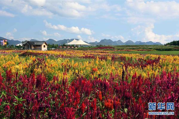 年会金字招牌信誉至上下载相关推荐9