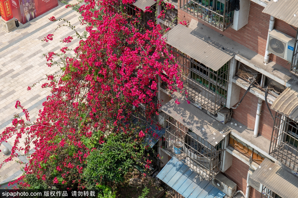 火博登陆平台-火博登陆平台